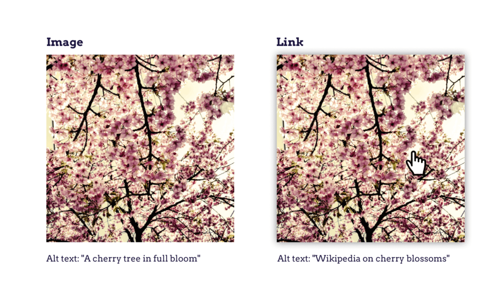 Example of a normal and a linked image of a cherry blossoms